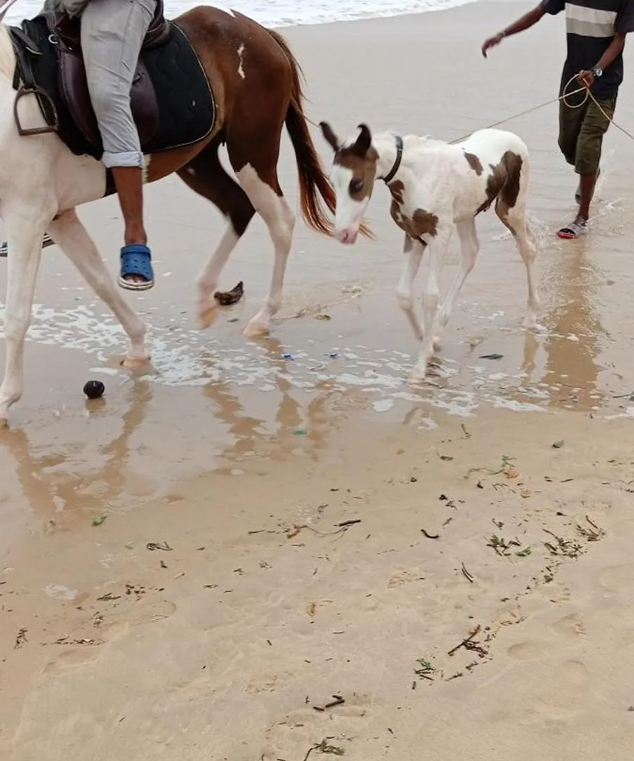 Mattuppavu Beach House Vizhinjam India